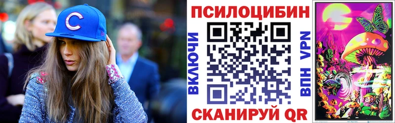 Галлюциногенные грибы Cubensis  Лукоянов 